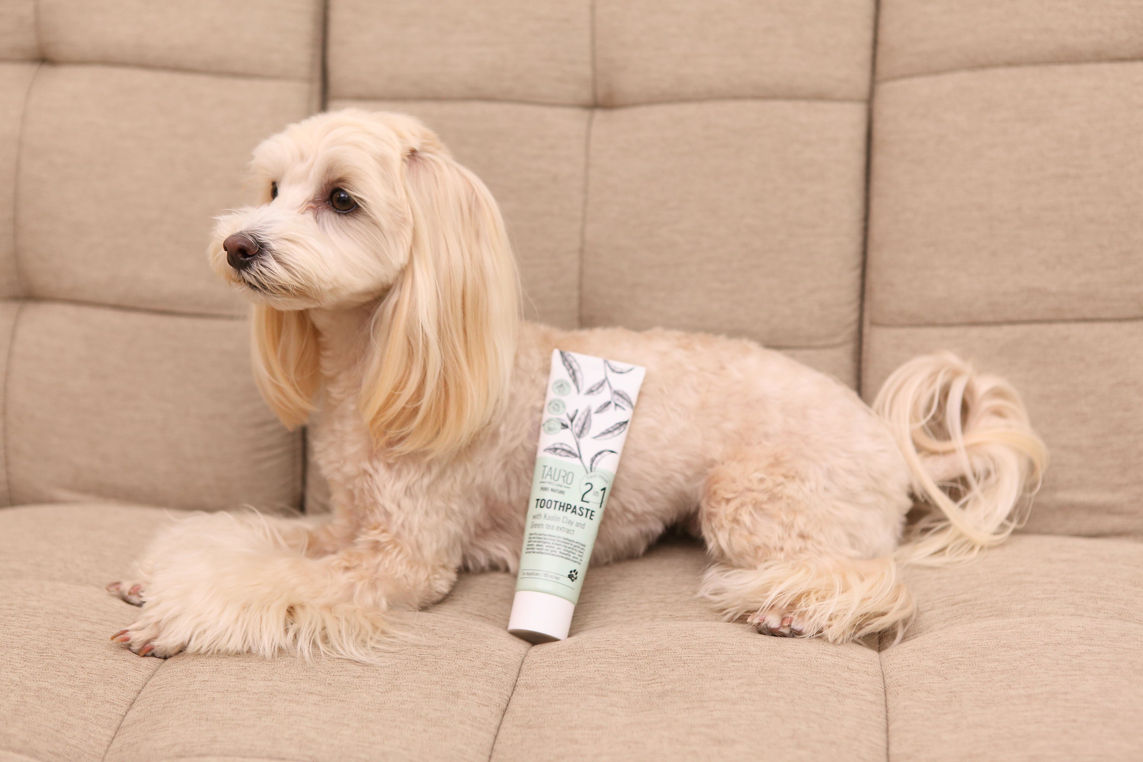 ホワイトクレイ 犬猫用 歯磨き粉 100ml