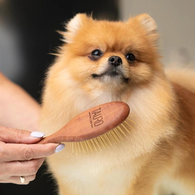 27mmステンレスピン付きブラシ 小(小型犬~中型犬推奨)