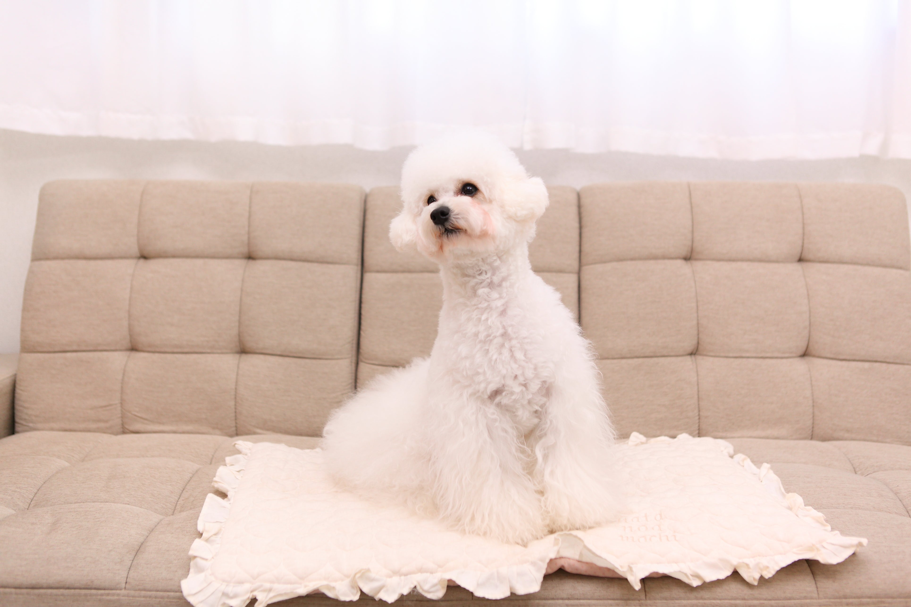 ホワイト保湿シャンプー 400ml