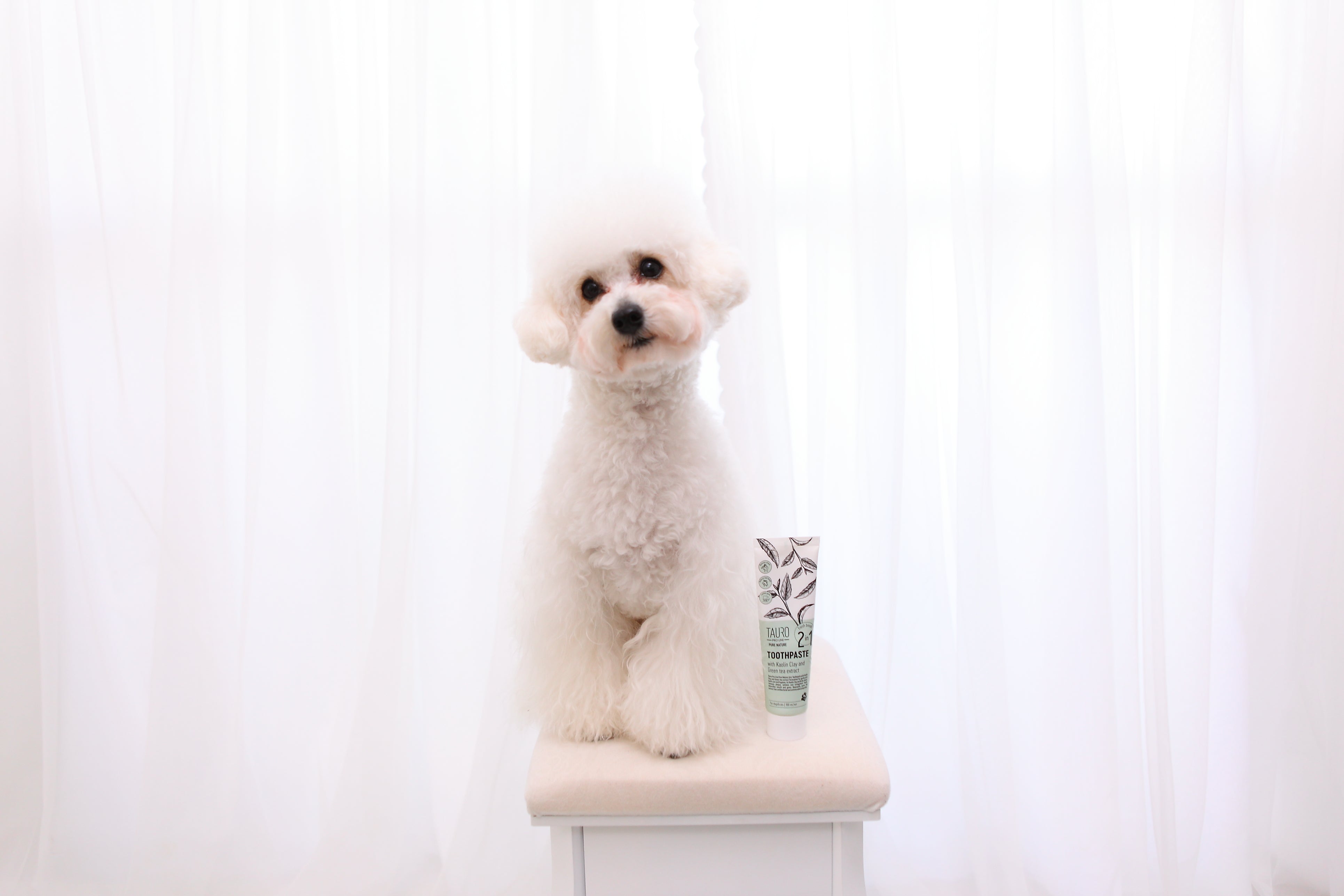 ホワイトニングシャンプー 400 ml 白犬種用