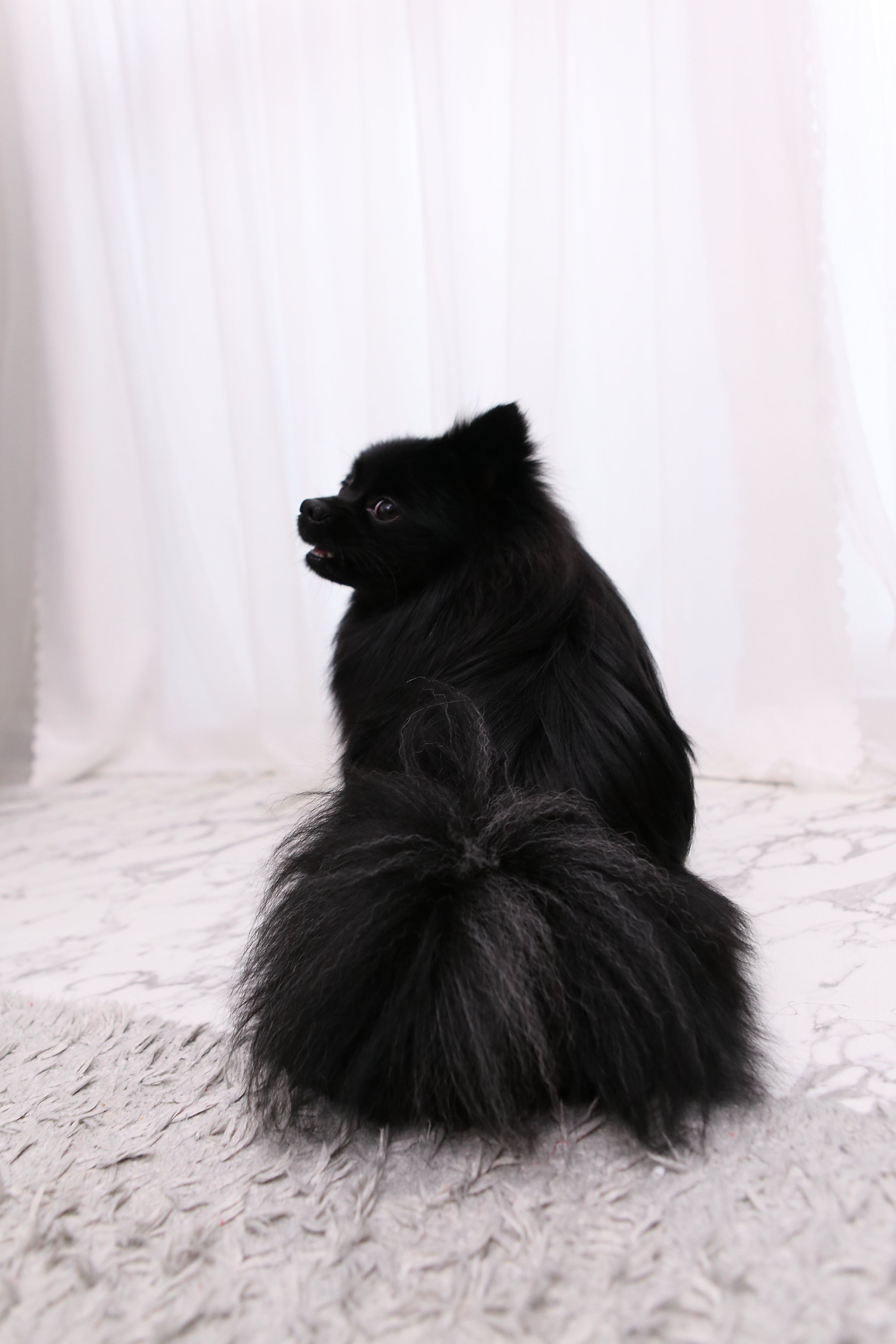 保湿マスク 400 ml　全犬種用