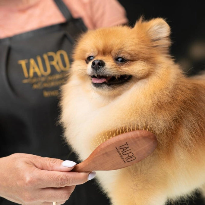 20ｍｍステンレスピン付きブラシ　小(小型犬～中型犬推奨)