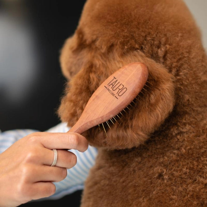20ｍｍステンレスピン付きブラシ大(中型犬～大型犬推奨)